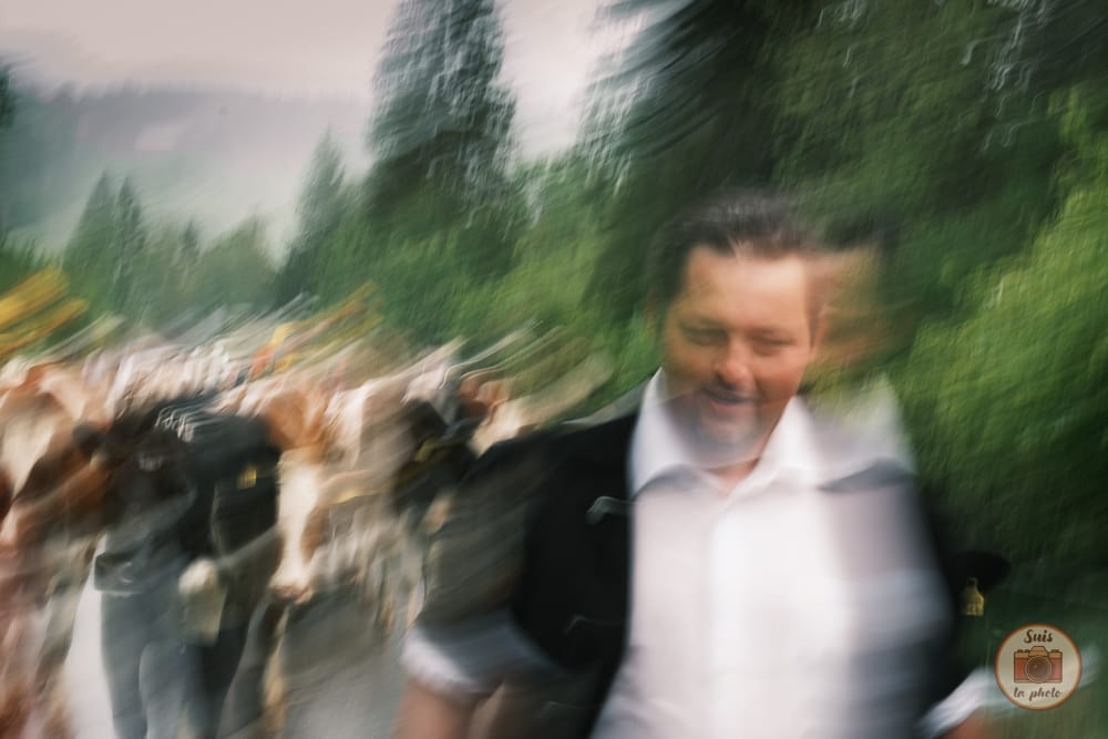 Flou artistique de vaches et d'un agriculteur en Suisse