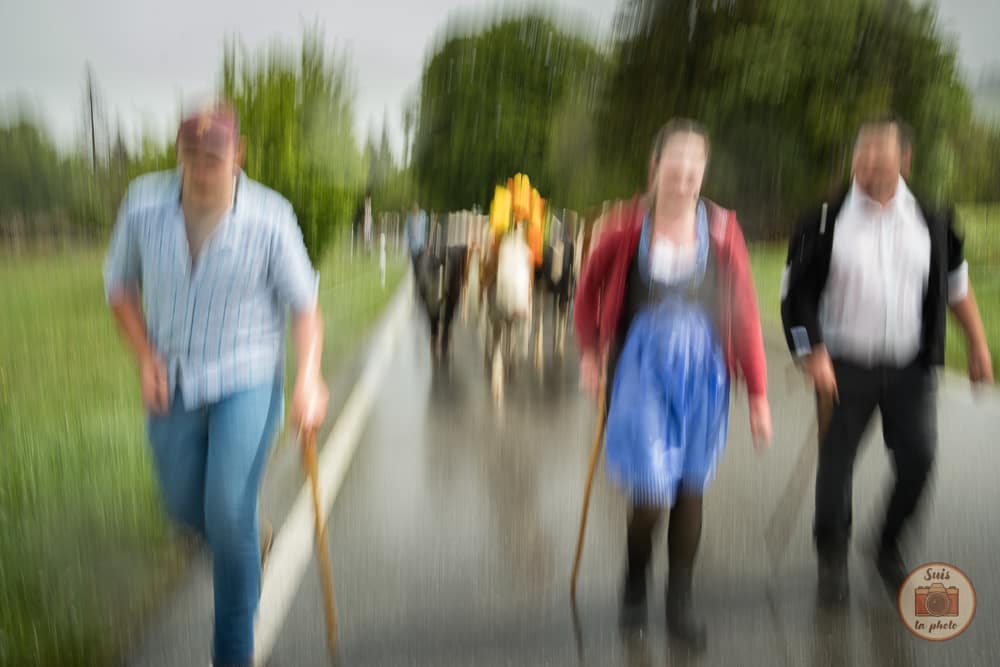 Flou artistique de 3 agriculteurs devant des vaches en Suisse